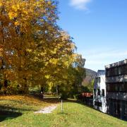 Gartenansicht im Herbst